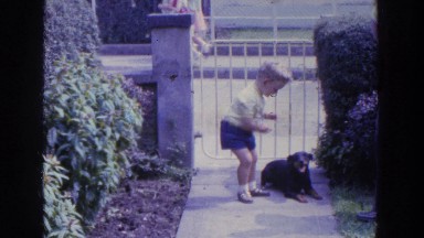 1961: Boy Petting Dog in Irish Front Yard
