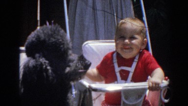 1964: Young Child Laughs and Waves to Camera While Seated in Highchair, Petting Black Poodle