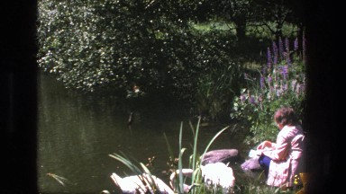 1975: Woman Feeding Geese by the Lake in Denmark