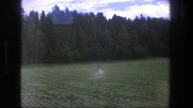 1975: Horse Running Like the Wind Across the Pasture in Denmark