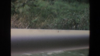 1973: Animals and People in Natural Habitat at Walt Disney World Florida