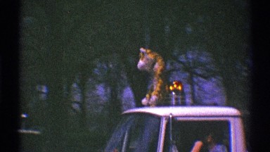 1969: a pickup truck with a light and a tiger sculpture on the roof, and a child