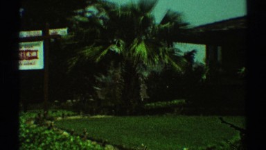1969: the premises of a house with amazingly beautiful greenery LOS ANGELES