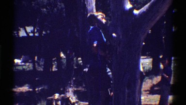 1969: a boy climbing a bare tree to the top ARIZONA