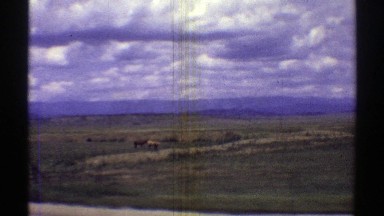 1969: large open fields with horses grazing in the grass. ARIZONA