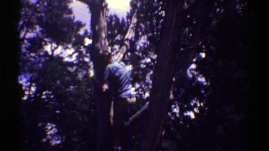 1969: boy climbing a tree ARIZONA