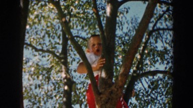 1962: little boy climbing a tree. NORTH HOLLYWOOD, CALIFORNIA