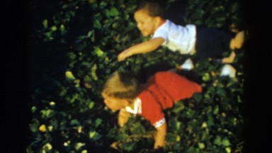 1962: little kids playing in the garden. GLENDALE, CALIFORNIA