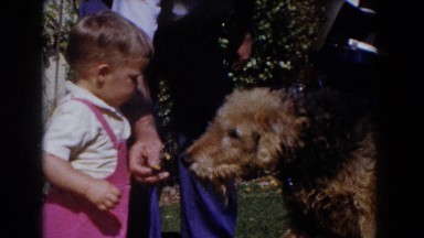 1962: a toddler boy hand feeds a large breed dog a treat