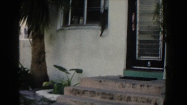 1960: Monkey Hopping Up Steps and Leaping Onto Closed Window Sill Miami