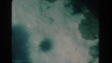 1961: unusually shaped and repeated forms share the bottom of a body of water