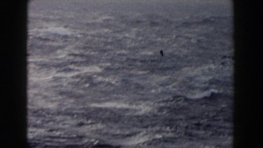 1959: Very Large, Scary Wave on the Ocean.