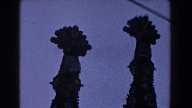 1959: Four European Cathedral Steeples in Barcelona, Spain