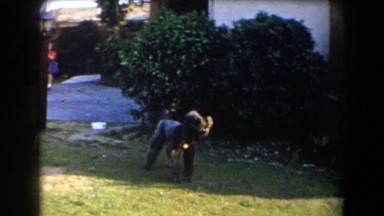 1958: little boy playing on sidewalk and barking dog off to the side. CALIFORNIA