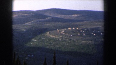 1960: view of a vineyard and a city from atop a green hill ISRAEL