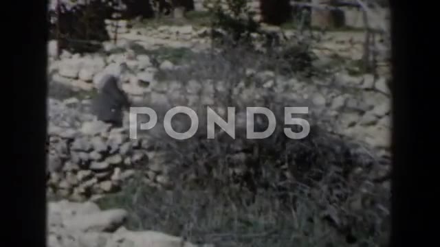 1960: A Panorama of a Busy Downtown Area at Daytime in Israel