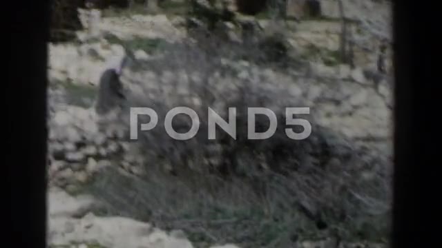 1960: Vintage Footage of Van Departing in Israel