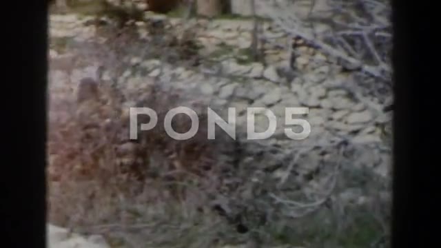 1960: Children Waving and Smiling at Audience in Israel