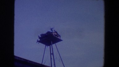 1959: environment for animals to seek shelter in the sky that is tall
