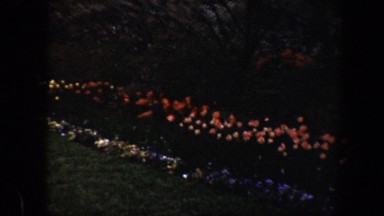 1960: Pretty Flower Garden in the Country, Baltimore Maryland