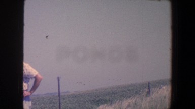 1959: Man Standing Next to His Cornfield, Iowa