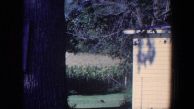 1959: Side-View of a Corner of a House in Iowa
