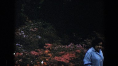 1960: Woman Walking in the Midst of a Glorious Flower Garden, Baltimore Maryland