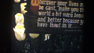 1960: Motivational Quote in Flower Bed of Yellow Roses, Baltimore Maryland