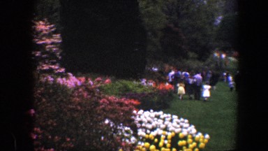 1960: party of people outside dressed up walking around looking at the bounty