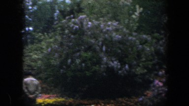1960: people walking around outside in the midst of flowers. BALTIMORE MARYLAND