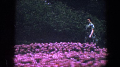 1960: woman walking along a beautiful garden area with flowers BALTIMORE
