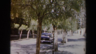 1960: Classic Cars Drive Up and Down a Tree-Lined Boulevard in Israel