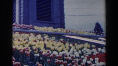 1963: an amazingly beautiful park with rich flower garden where people relax