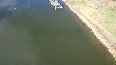 Colorado, United States: Birds Fly Over a Peaceful River on a Sunny Day in the Afternoon