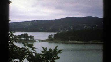 1976: leaves slightly shaking in the breeze before a moving pattern of rain
