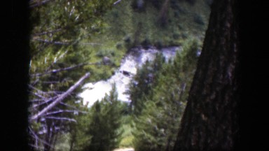 1951: trees/logs fallen over a sparkling running stream in the forest