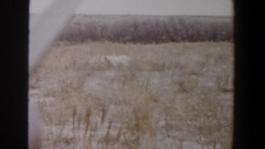 1956: three men briefly seen on prairie LUBBOCK TEXAS