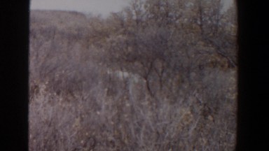 1956: a hunter stalks his prey LUBBOCK TEXAS