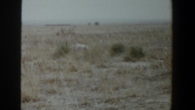 1956: lonely desert language. LUBBOCK TEXAS