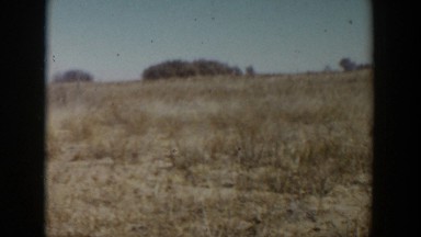1957: a barren land with dried grass under the blue sky LUBBOCK TEXAS