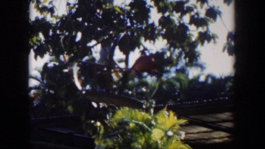1951: man in suit messes around with something in his hands CUBA