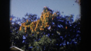 1951: searching above the house and the treetops for whatever this small portion