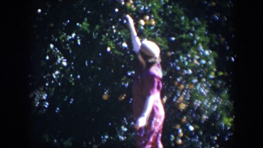 1951: Elderly Woman Picking Ripe Oranges from Tree in Cuba