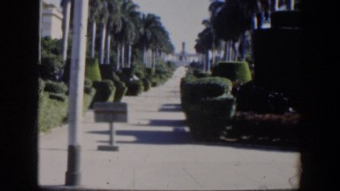 1951: view of a sidewalk with shrubbery along the side. CUBA