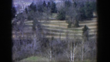 1951: View of a Lonely Field Surrounded by Trees in Texas