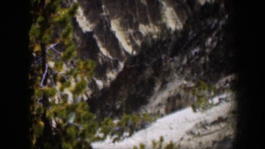 1951: Tall Fir Tree Stands Above Wyoming Mountains with Intersecting Ridges