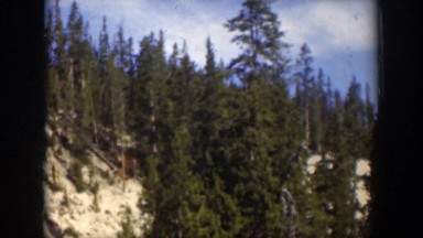 1951: Vintage 8mm Clip of Trees, Daylight, and Cars on Dirt Roads