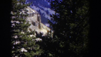1951: an eroded cliff face beyond the treeline WYOMING