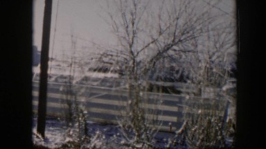 1954: two cabins with premises having bushes and leafless trees NEVADA