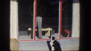 1954: scanning across town seeing all the various people and animals, dog